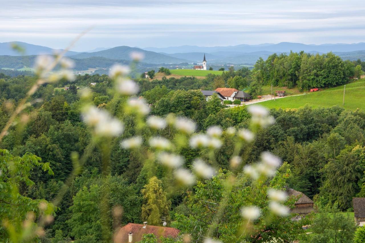 Domacija Vesel Villa Trebnje Luaran gambar