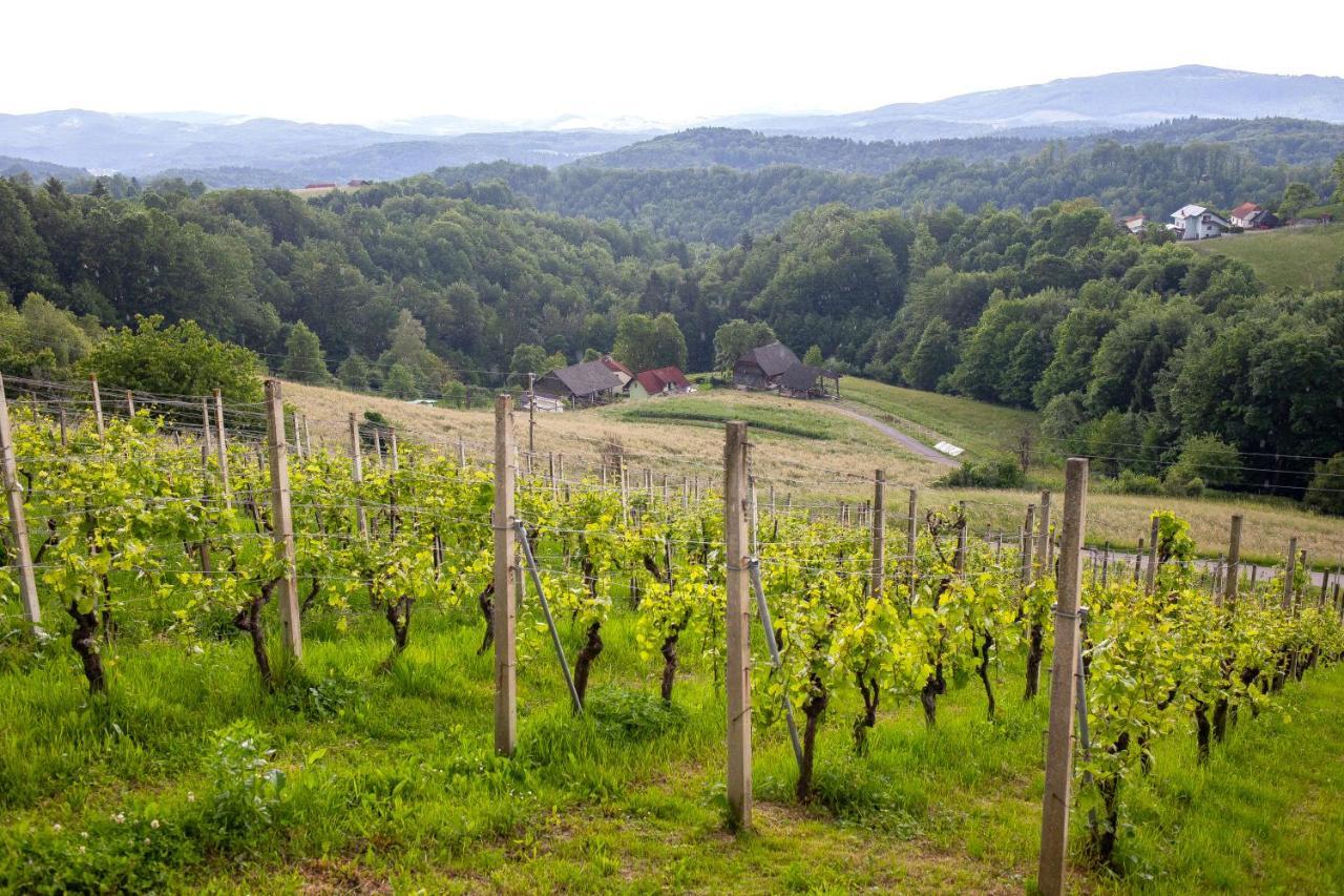 Domacija Vesel Villa Trebnje Luaran gambar