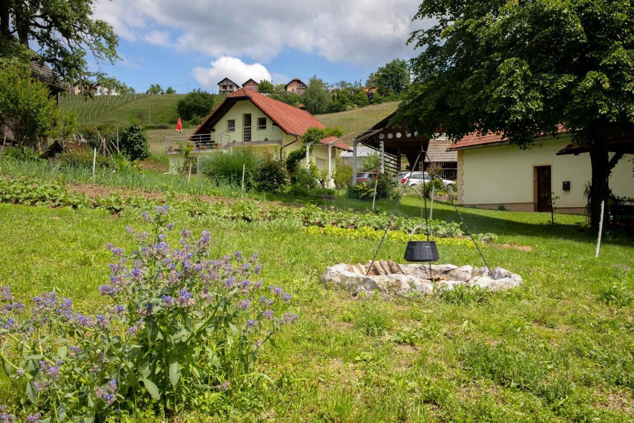 Domacija Vesel Villa Trebnje Luaran gambar